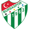 Bursaspor logo