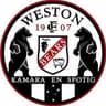 Weston Bears logo