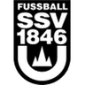 Ulm U19 logo