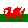 Wales U19 logo