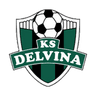 Delvina logo
