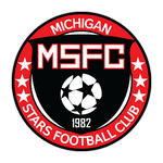 Michigan Stars logo