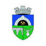 Anenii Noi W logo