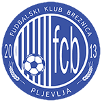 Breznica W logo