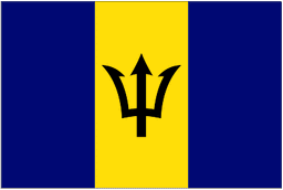 Barbados U20 logo