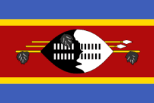 Eswatini U20 logo