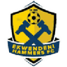 Ekwendeni Hammers logo