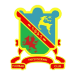 Ynysygerwn logo
