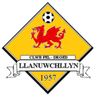 Llanuwchllyn logo