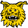 Ilves Tampere logo