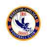 Berekum Chelsea logo