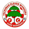 Eleven Wonders logo