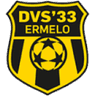 DVS 33 Ermelo logo