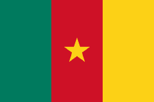 Cameroon U17 logo