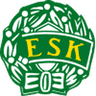 Enköping logo
