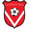 Harkemase Boys logo