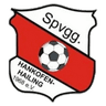 Hankofen-Hailing logo