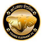 Young Elephant logo