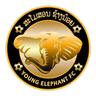 Young Elephant logo