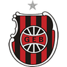 Brasil DE Pelotas logo