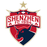 Shenzhen Ruby FC logo