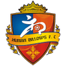 Hunan Billows FC logo