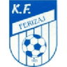 Ferizaj logo