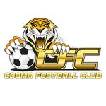 Cooma Tigers FC logo