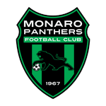 Monaro Panthers logo