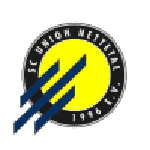 Union Nettetal logo
