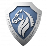 Merani Tbilisi II logo