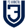 Varketili logo