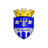 Edineţ logo