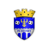 Edineţ logo