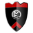 FCM Ungheni logo