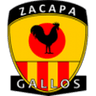 Zacapa Tellioz logo