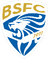 Brescia U19 logo