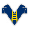 Verona U19 logo