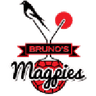 Magpies logo