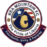 BEA Mountain logo