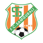 Samgurali II logo