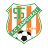 Samgurali II logo