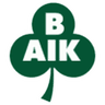 Bergnäsets logo