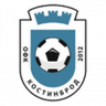 Kostinbrod logo
