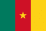 Cameroon W logo