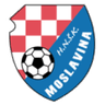 Moslavina logo