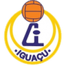 AA Iguaçu logo