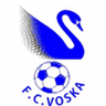 Voska Sport logo