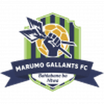 Marumo Gallants U23 logo
