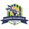 Marumo Gallants U23 logo
